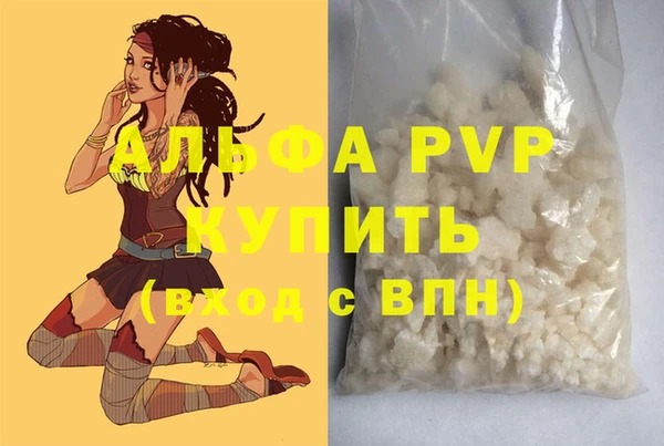 стаф Майский