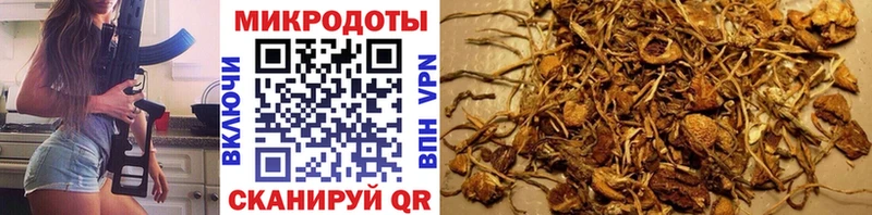 Галлюциногенные грибы мухоморы  наркошоп  Ак-Довурак 