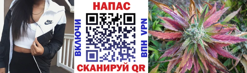 Марихуана Ganja  Ак-Довурак 